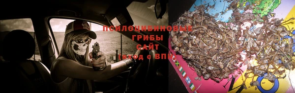 трава Арсеньев