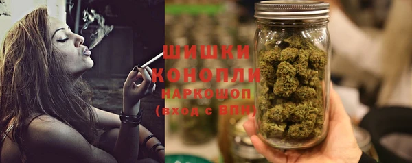 трава Арсеньев