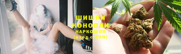 шишки Армянск