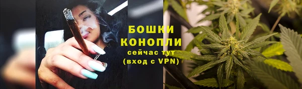 MESCALINE Аркадак