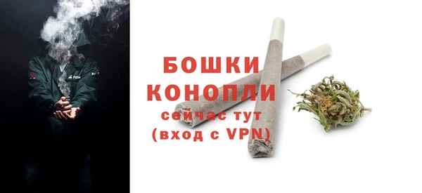 трава Арсеньев