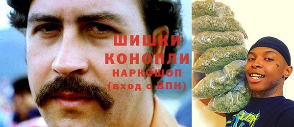 шишки Армянск