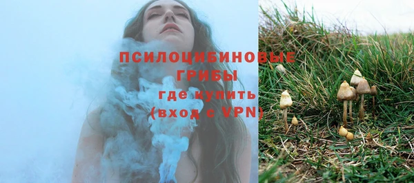 MESCALINE Аркадак