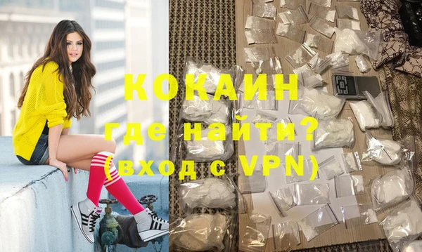 шишки Армянск