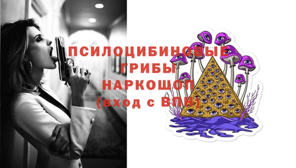 шишки Армянск