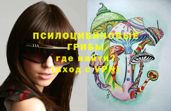 трава Арсеньев