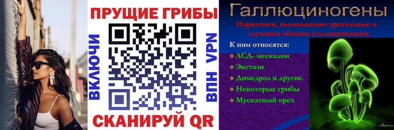 сайты даркнета телеграм  Облучье  Псилоцибиновые грибы GOLDEN TEACHER 